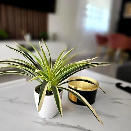 Three Bedroom Apartment Zadar