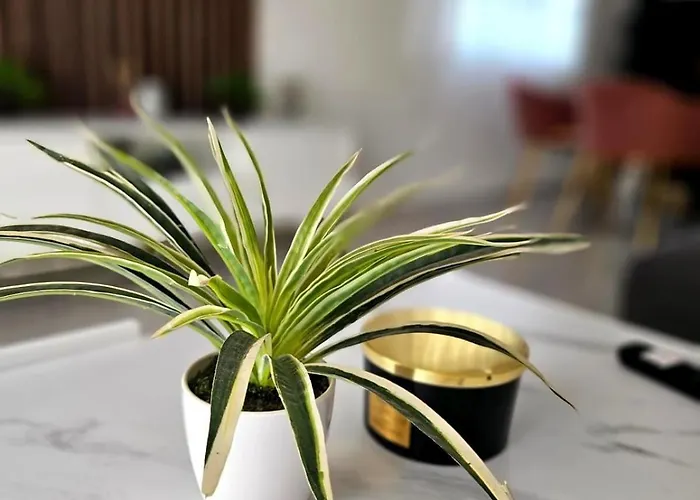 Three Bedroom Apartment Zadar